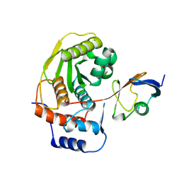 BU of 1euv by Molmil