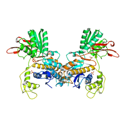 BU of 1ewt by Molmil