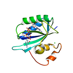 BU of 1ex8 by Molmil