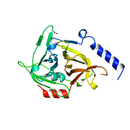 BU of 1exf by Molmil