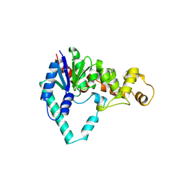 BU of 1exn by Molmil