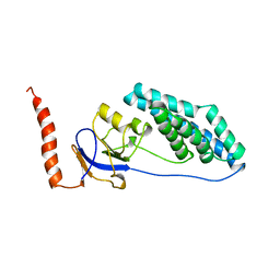 BU of 1ezc by Molmil