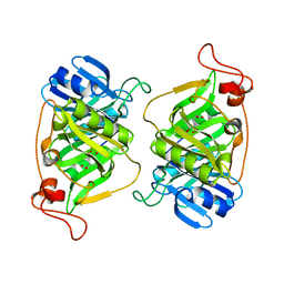 AU of 1f1y by Molmil