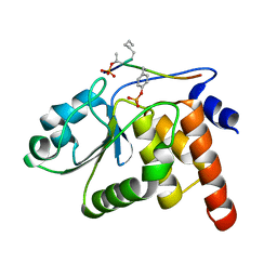 AU of 1f5d by Molmil