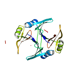 BU of 1fa6 by Molmil