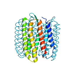 BU of 1fbb by Molmil