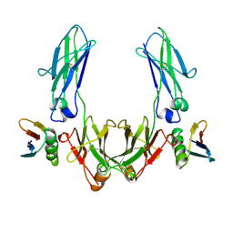 BU of 1fcc by Molmil