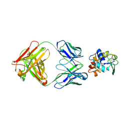 BU of 1fdl by Molmil