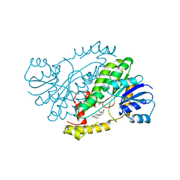 BU of 1fds by Molmil