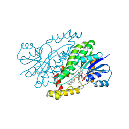 BU of 1fdt by Molmil