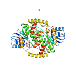 BU of 1fdv by Molmil