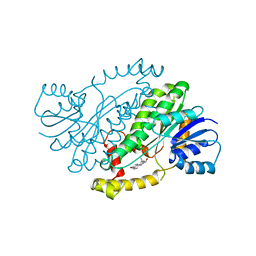 BU of 1fdw by Molmil