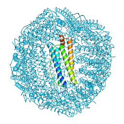 BU of 1fha by Molmil