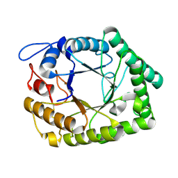 BU of 1fhl by Molmil