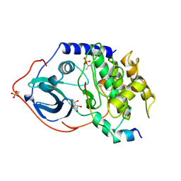 BU of 1fmo by Molmil