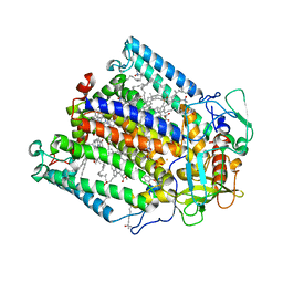 BU of 1fnp by Molmil