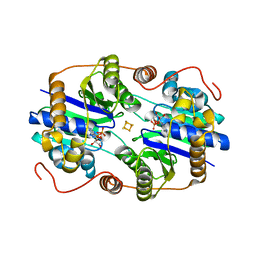 BU of 1fp6 by Molmil