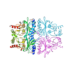BU of 1fpd by Molmil