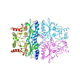 BU of 1fpe by Molmil