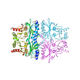 BU of 1fpf by Molmil