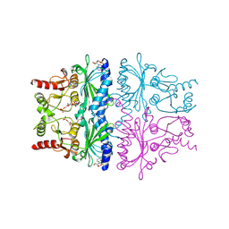 BU of 1fpg by Molmil