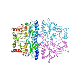 BU of 1fpi by Molmil