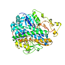 BU of 1frv by Molmil