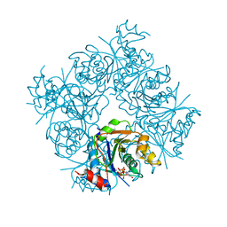 BU of 1frw by Molmil