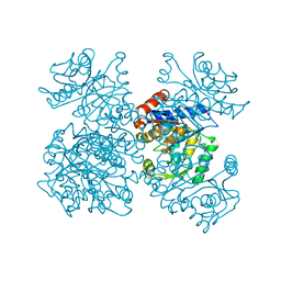 BU of 1fs6 by Molmil