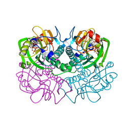 BU of 1fsg by Molmil