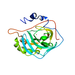 BU of 1fsr by Molmil