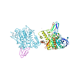 BU of 1fss by Molmil