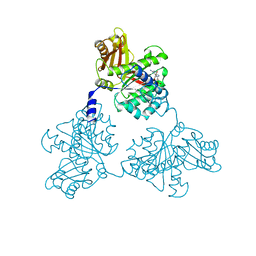 BU of 1fsz by Molmil