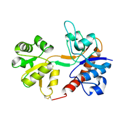 BU of 1fto by Molmil