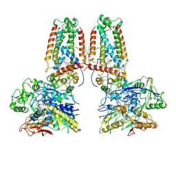 AU of 1fum by Molmil