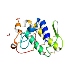 BU of 1fv0 by Molmil