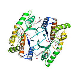 BU of 1fvp by Molmil