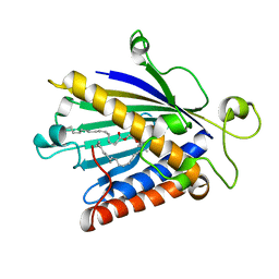 AU of 1fvz by Molmil