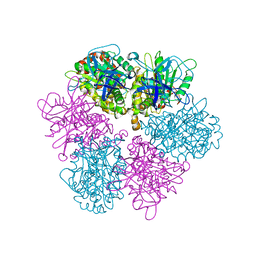 BU of 1fx0 by Molmil