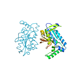 BU of 1fx2 by Molmil