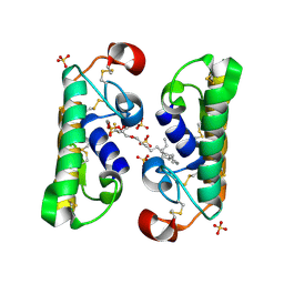 BU of 1fx9 by Molmil