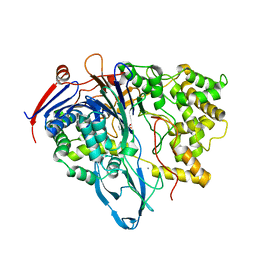 BU of 1fxh by Molmil