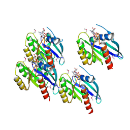 BU of 1g16 by Molmil