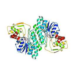 BU of 1g1a by Molmil