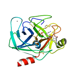 AU of 1g34 by Molmil