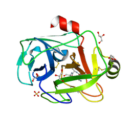 BU of 1gdn by Molmil