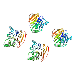 AU of 1gdo by Molmil