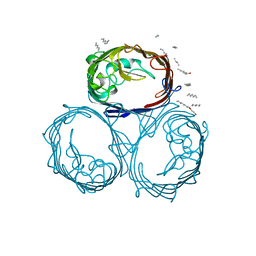 BU of 1gfo by Molmil