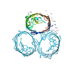 BU of 1gfp by Molmil