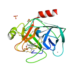 BU of 1gi0 by Molmil